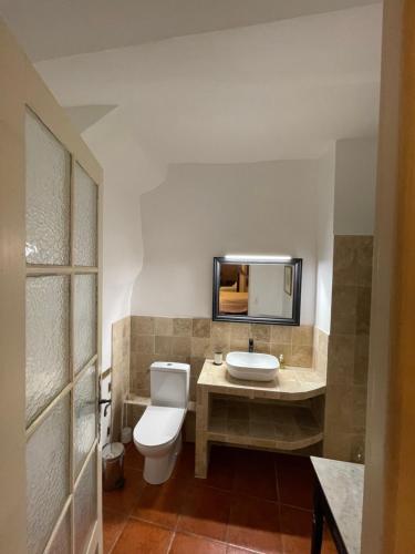 La salle de bains est pourvue de toilettes, d'un lavabo et d'un miroir. dans l'établissement Chambres d' hôtes l'Escalo à Moutiers-Ste-Marie (04360), à Moustiers-Sainte-Marie