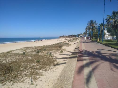 un trottoir longeant une plage bordée de palmiers et l'océan dans l'établissement La Barrosa duplex, à Chiclana de la Frontera