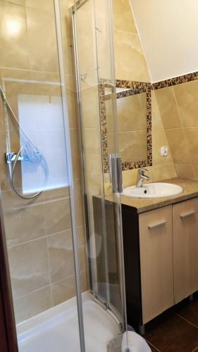 a bathroom with a shower and a sink at domek 6 osobowy- Jezioro nyskie in Głębinów