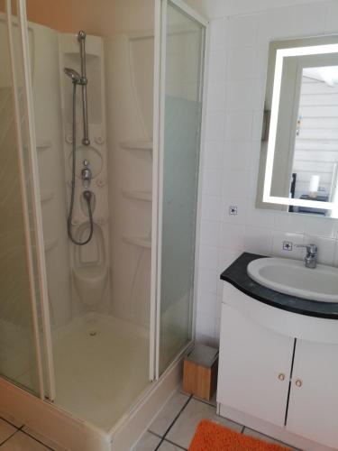 une salle de bain avec douche et lavabo dans l'établissement Studio indépendant chez l'habitant avec piscine et cuisine extérieures, à La Rochelle