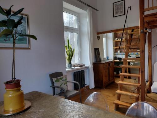 salon ze stołem i doniczką w obiekcie Znajomi Znajomych w mieście Sokołowsko