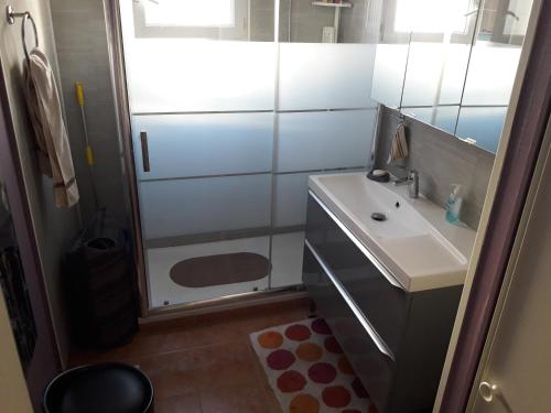 une petite salle de bain avec un lavabo et une douche dans l'établissement Superbe Appartement FREJUS PLAGE, à Fréjus