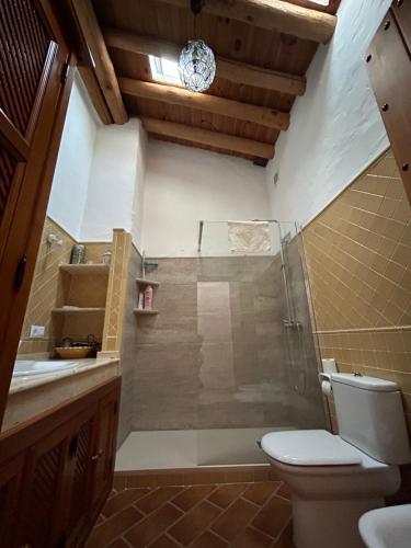 a bathroom with a shower with a toilet and a sink at Campanario 3 in Alájar