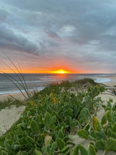 a sunset on the beach with a plant at Soutelande Country Stay - Close to 1#Beach in PE in Port Elizabeth