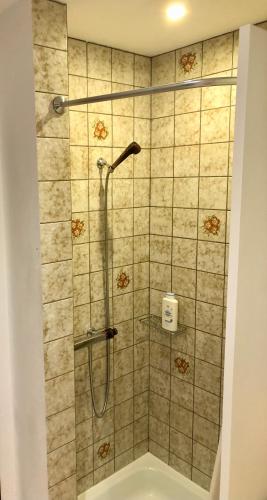 a shower with a shower head in a bathroom at Big Apartment with garden Rapperswil-Jona in Jona