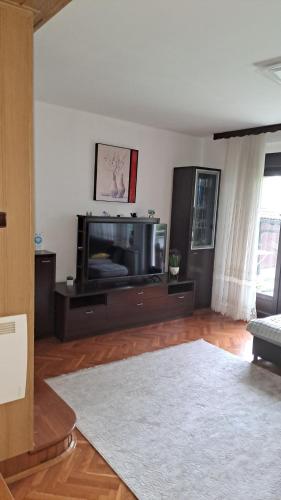 un soggiorno con TV a schermo piatto di Villa Behić a Bihać