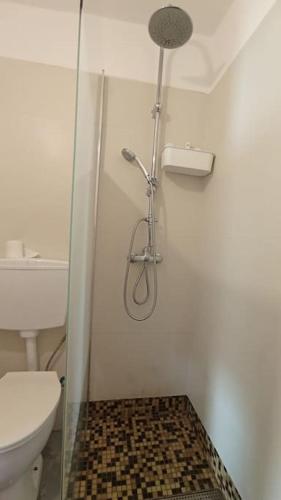 a shower stall in a bathroom with a toilet at Private small studio in Costa de Caparica in Costa da Caparica