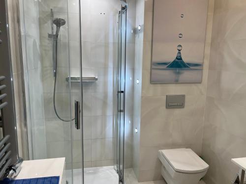 uma casa de banho com um chuveiro e um WC. em Apartament Esensja II em Szklarska Poręba