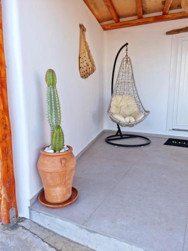 a room with a cactus and a hammock and a chair at Blue Serenity Villa in Fanari