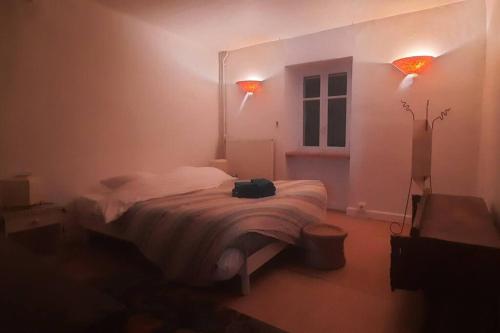 Gallery image of Charme Zen Ecrin de verdure Fraîcheur Spa en juillet in Pezens