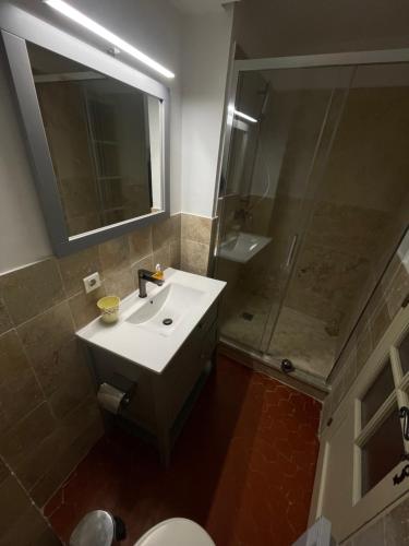 a bathroom with a white sink and a shower at Chambres d' hôtes l'Escalo à Moutiers-Ste-Marie (04360) in Moustiers-Sainte-Marie