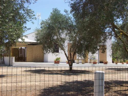 Το κτήριο όπου στεγάζεται  το bed & breakfast