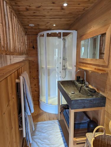 une salle de bain avec un lavabo et une douche dans l'établissement Bas de chalet au coeur des Aravis, entre lac et montagne, à Saint-Jean-de-Sixt