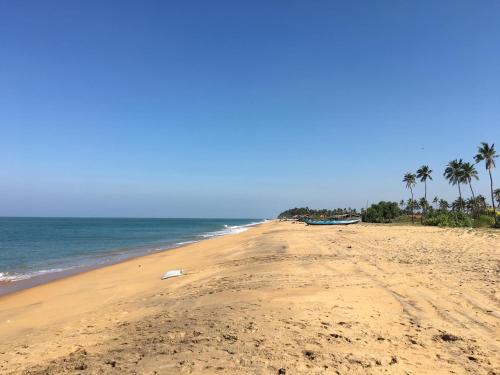 a sandy beach with palm trees and the ocean at Spice of Ceylon in Chilaw