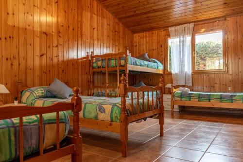 a bedroom with two bunk beds in a cabin at Las Casitas del Pinar in Bayubas de Abajo