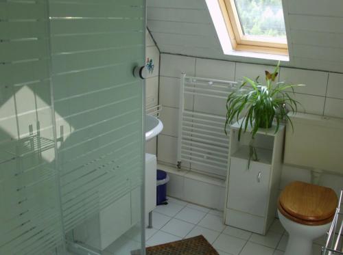 a bathroom with a toilet and a sink and a window at Gemütliche Wohnung 2 Et Inkl Parkplatz nach Verfügbarkeit in Essen