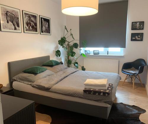Ένα ή περισσότερα κρεβάτια σε δωμάτιο στο Apartament Luna