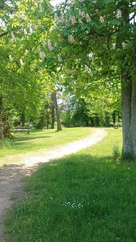 eine unbefestigte Straße neben einem Baum in einem Park in der Unterkunft Zimmer und Apartment Rosi in Krakow am See