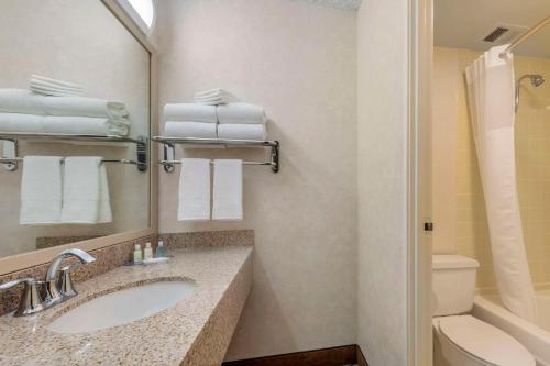 a bathroom with a sink and a toilet and a mirror at Clarion Hotel Anaheim Resort in Anaheim