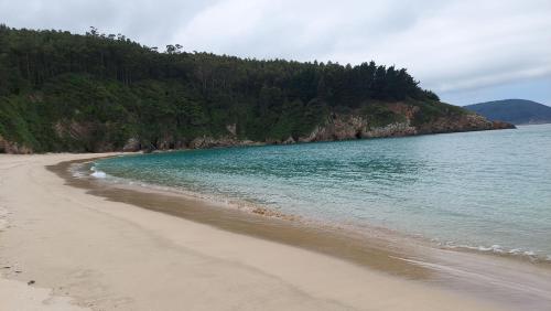 a beach with the ocean and trees in the background at Apartamento La Ilusión - Cariño in Cariño