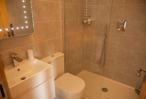 a bathroom with a shower and a toilet and a sink at Goose Run Cottage in Corscombe