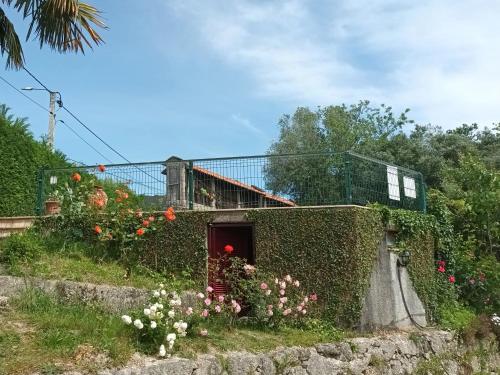 a house with a garden with flowers in front of it at Quinta Da Penela in Vieira do Minho
