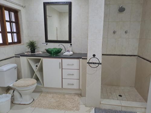 a bathroom with a shower and a sink and a toilet at Shangrila-innibos Country Lodge in Hartbeespoort