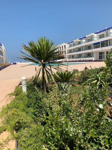 une plage avec un palmier et un grand bâtiment dans l'établissement Appartement pied dans l’eau à 10 min d’Agadir, à Aourir