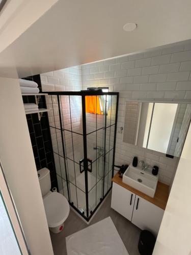 a bathroom with a shower and a toilet and a sink at Söğüt HOUSES in Marmaris