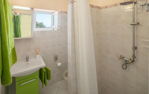een badkamer met een wastafel en een douche bij Pet Friendly Home In Ravni With House Sea View in Ravni