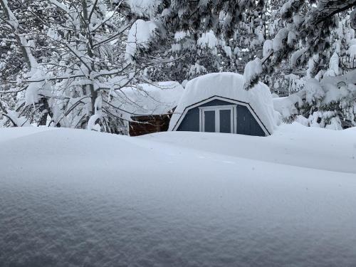 Tahoe Cottage perfect for couples and outdoor enthusiasts v zimě