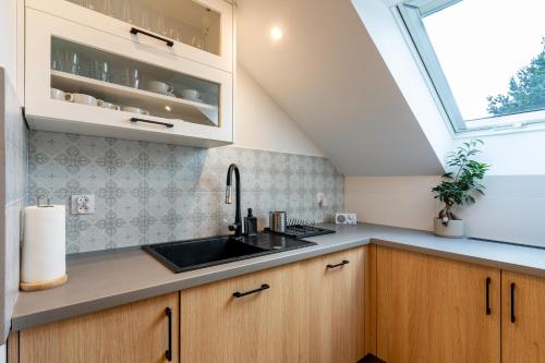 a kitchen with a sink and a window at Apartamenty Defala i Strefa Relaksu Natural Touch in Rymanów-Zdrój