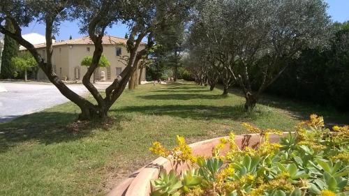 a row of trees and flowers in a yard at Hotel Bellerive in Rasteau