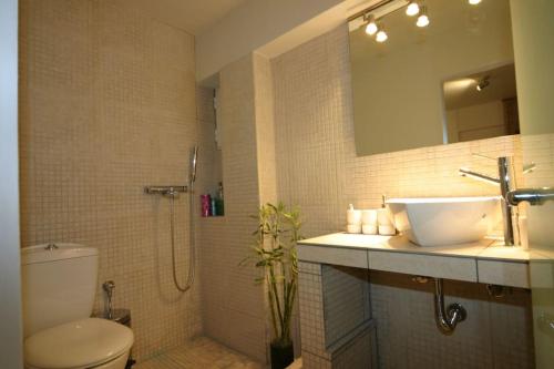 y baño con lavabo, aseo y ducha. en Sacred Way rooftop apartment en Atenas