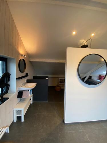 a bathroom with a mirror and a sink at B&B 't zwart peird in Poperinge