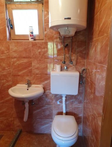 ein Bad mit einem WC und einem Waschbecken in der Unterkunft Dedovina in Aranđelovac