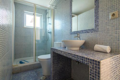 a bathroom with a sink and a toilet and a shower at Quinta da Felicidade, Casa Estrela in Guia