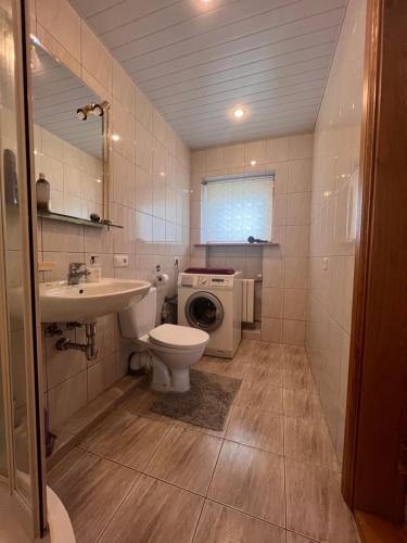 a bathroom with a toilet sink and a washing machine at Private room, private bathroom, private entrance in private house in Kaunas