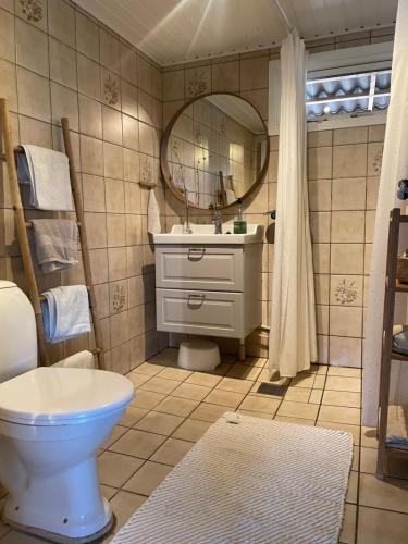 a bathroom with a toilet and a sink and a mirror at Cozy Garden Glamping in Svendborg