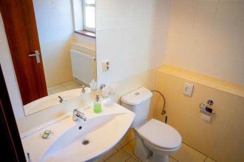 a bathroom with a sink and a toilet and a mirror at Penzión Windšachta in Štiavnické Bane