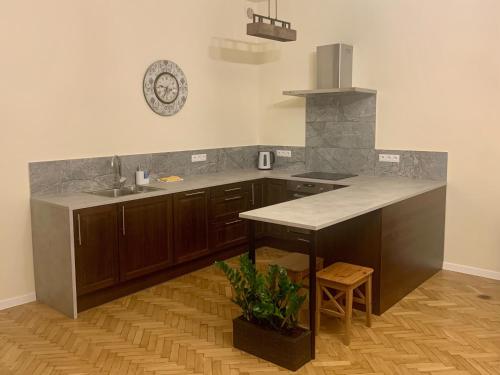 kuchnia ze zlewem i blatem w obiekcie Apartamenty i Studia HERBARIUM w Krakowie