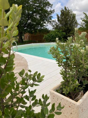 Foto dalla galleria di TRULLO ELVIRA & LUIGI a Monopoli