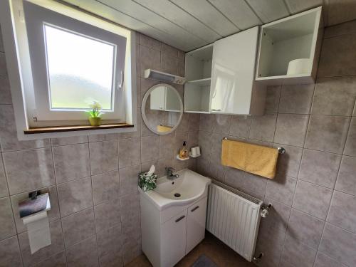 a bathroom with a sink and a mirror at Cottage Zoja in Bohinjska Bistrica