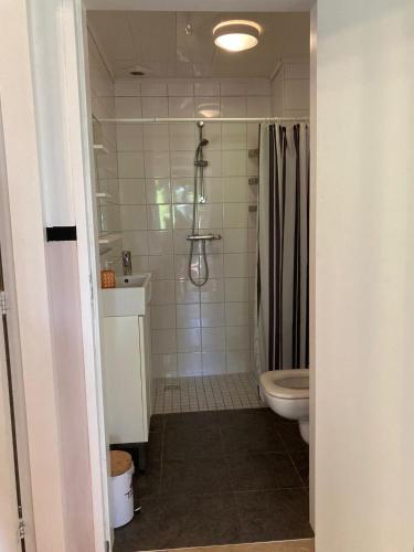 a bathroom with a toilet and a shower at Het Karnhuis in Schoondijke