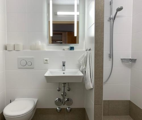 a bathroom with a toilet and a sink and a shower at Chiemgau Appartements in Inzell