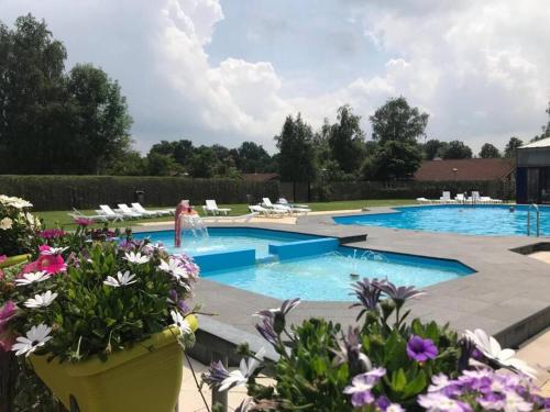 een vrouw in het water in een zwembad met bloemen bij Wellness Bungalow Uppsala in Gramsbergen