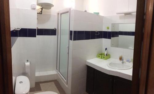 a bathroom with a shower and a toilet and a sink at Charming apartment about 120m from the beautiful beach of Trou aux Biches. in Trou aux Biches