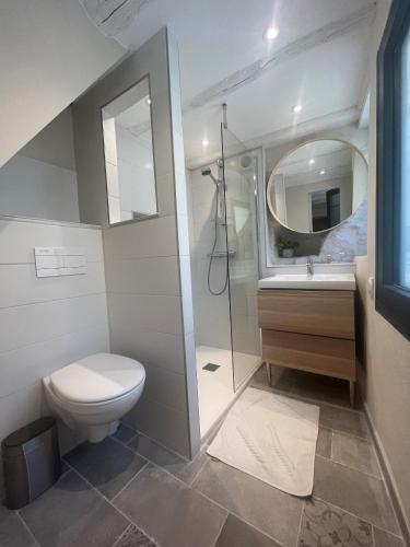 une salle de bain avec toilettes, lavabo et miroir dans l'établissement Le Duplex studio centre de Nîmes avec Clim, à Nîmes