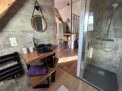 a bathroom with a sink and a shower at Les Noyers De Gaudelle in Saint-Sozy