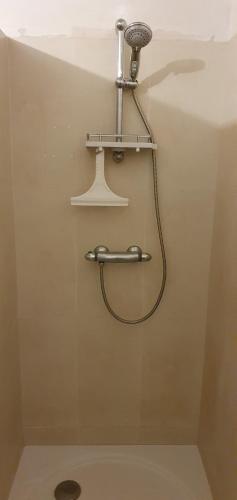 La salle de bains est pourvue d'une douche. dans l'établissement Chambre chez l'Habitant La Rance, à Plouër-sur-Rance